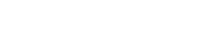 Car Options Logo